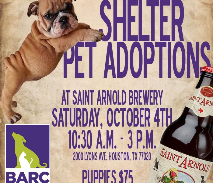 October 4th Saint Arnold Pet Adoptions
