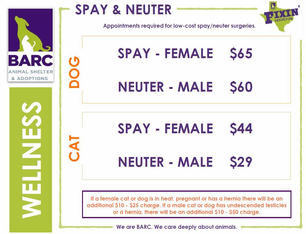 low cost dog spay and neuter near me