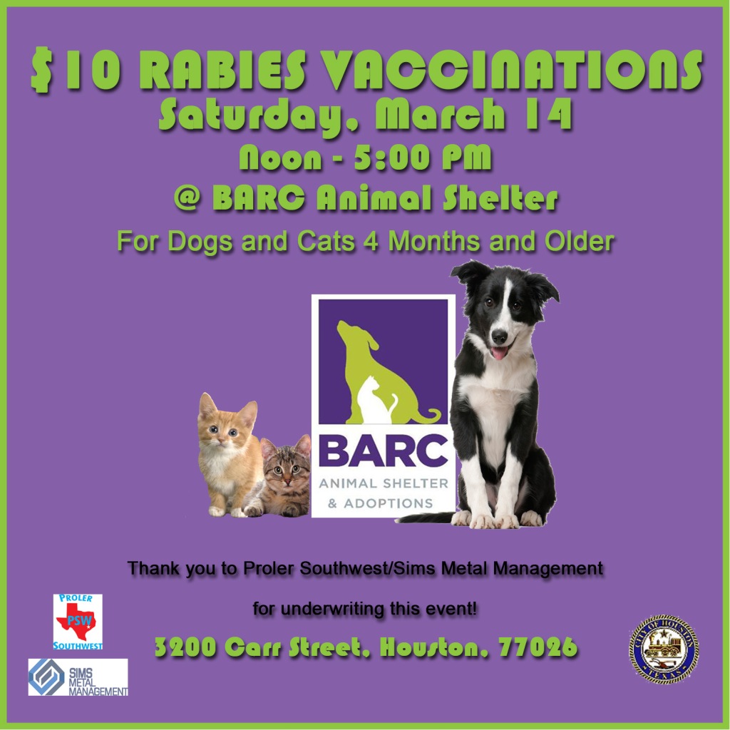 $10 Rabies Vaccinations