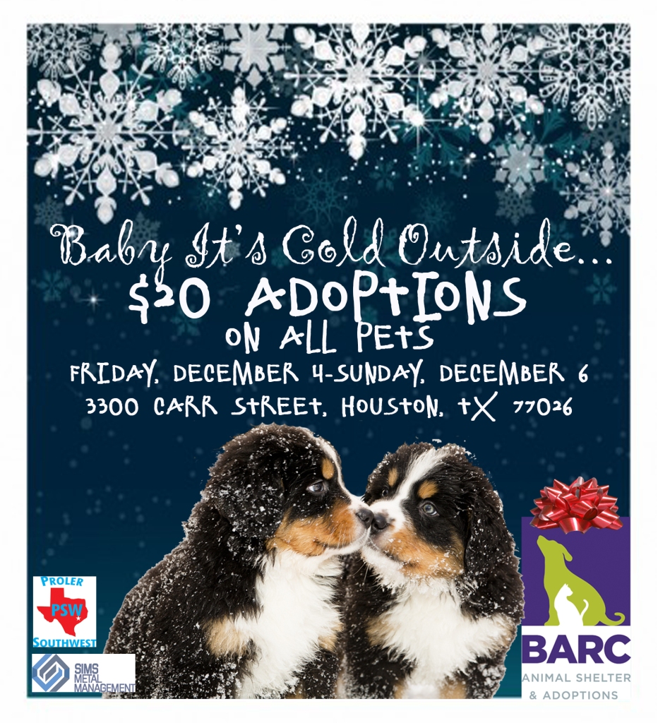 Baby it's cold outside_$20 Adoptions
